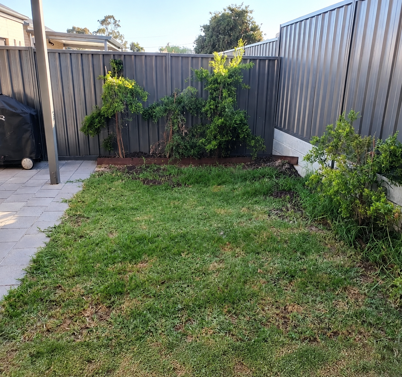 Backyard before a landscaping transformation